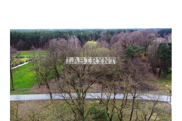 Radomszczański, Ładzice, Jankowice, Jankowice, 6ha, szer. 39m, z Warunkami Zabudowy