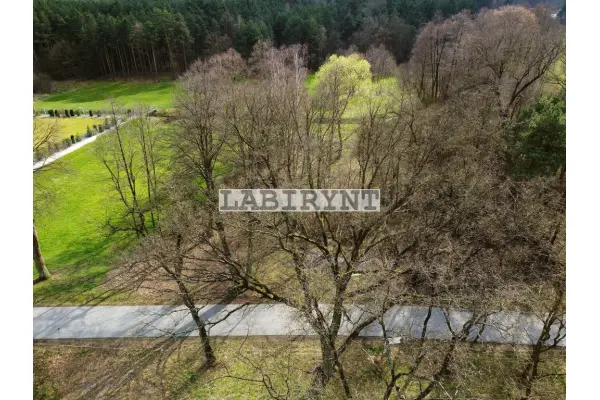 Radomszczański, Ładzice, Jankowice, Jankowice, 6ha, szer. 39m, z Warunkami Zabudowy