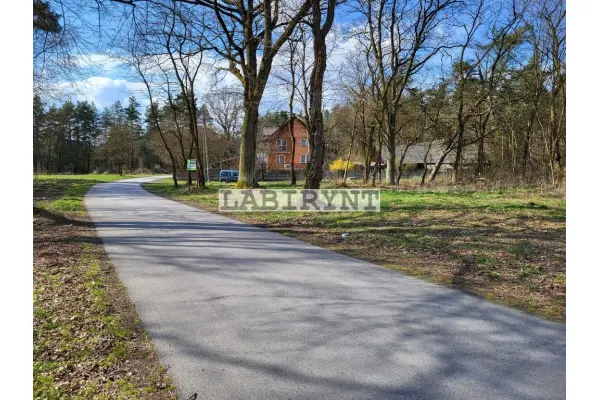 Radomszczański, Ładzice, Jankowice, Jankowice, 6ha, szer. 39m, z Warunkami Zabudowy