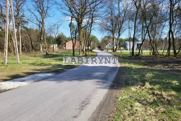 Radomszczański, Ładzice, Jankowice, Jankowice, 6ha, szer. 39m, z Warunkami Zabudowy