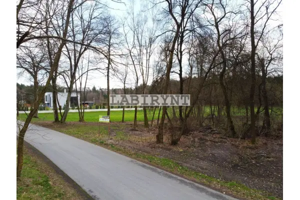 Radomszczański, Ładzice, Jankowice, Jankowice, 6ha, szer. 39m, z Warunkami Zabudowy