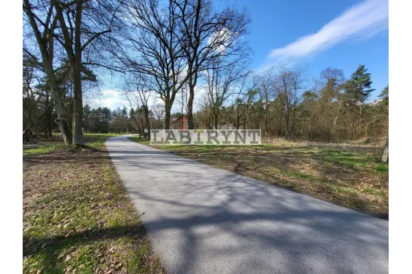 Radomszczański, Ładzice, Jankowice, Jankowice, 6ha, szer. 39m, z Warunkami Zabudowy