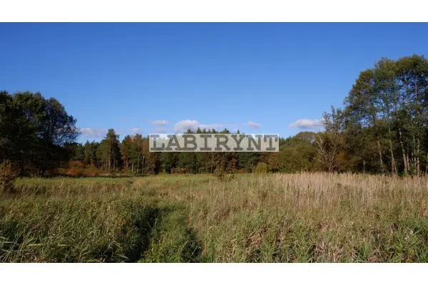 Radomszczański, Ładzice, Jankowice, Jankowice, 6ha, szer. 39m, z Warunkami Zabudowy