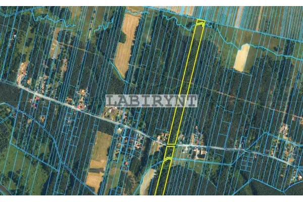 Radomszczański, Ładzice, Jankowice, Jankowice, 6ha, szer. 39m, z Warunkami Zabudowy