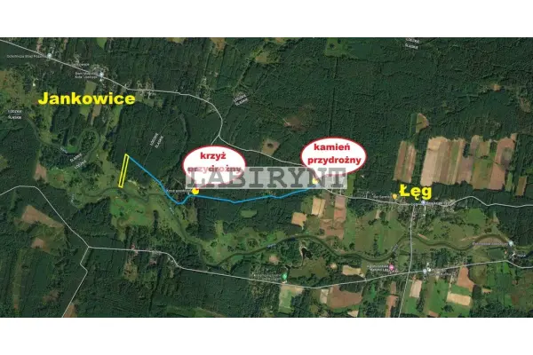 Radomszczański, Ładzice, Jankowice, Urokliwa działka leśna nad Wartą, 1 ha, szer. 36m