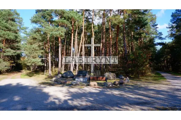 Radomszczański, Ładzice, Jankowice, Urokliwa działka leśna nad Wartą, 1 ha, szer. 36m