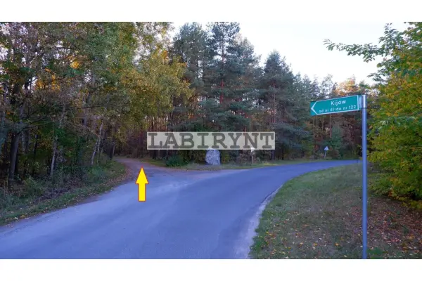 Radomszczański, Ładzice, Jankowice, Urokliwa działka leśna nad Wartą, 1 ha, szer. 36m