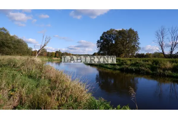 Radomszczański, Ładzice, Jankowice, Urokliwa działka leśna nad Wartą, 1 ha, szer. 36m