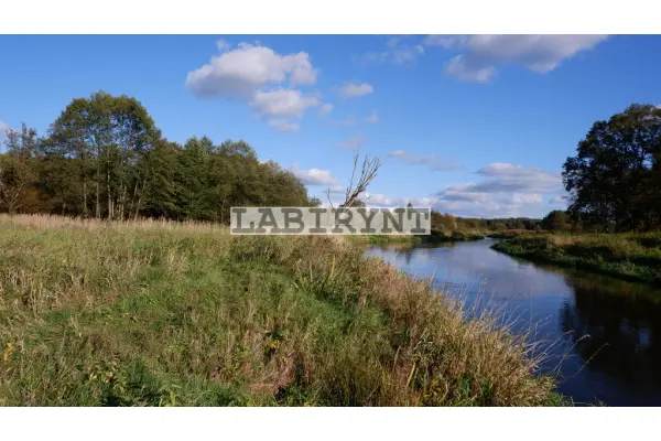 Radomszczański, Ładzice, Jankowice, Urokliwa działka leśna nad Wartą, 1 ha, szer. 36m