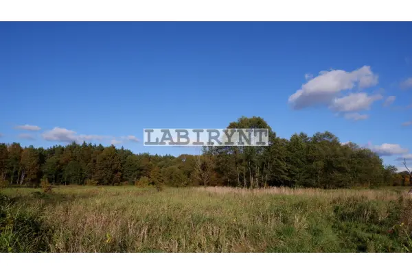 Radomszczański, Ładzice, Jankowice, Urokliwa działka leśna nad Wartą, 1 ha, szer. 36m