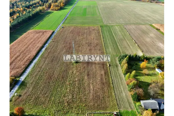 Częstochowski, Kłomnice, Rzerzęczyce, Budowlana, 600m2, 20x30, z planem miejscowym