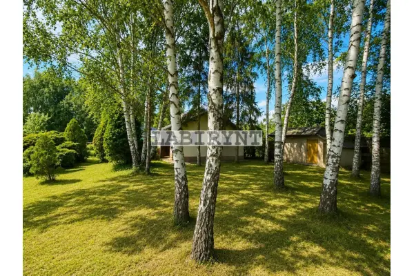 Częstochowa, Błeszno, Dwie działki ROD w cenie jednej - 725m2, "Sarenka"