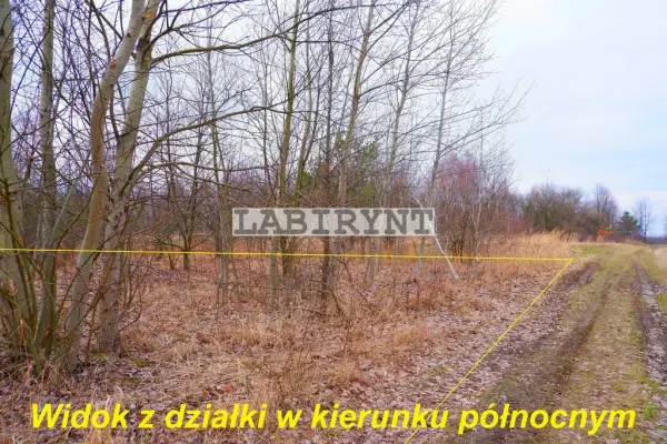 Częstochowa, Północ, Częstochowa, Północ, 3660m2, blisko zabudowań